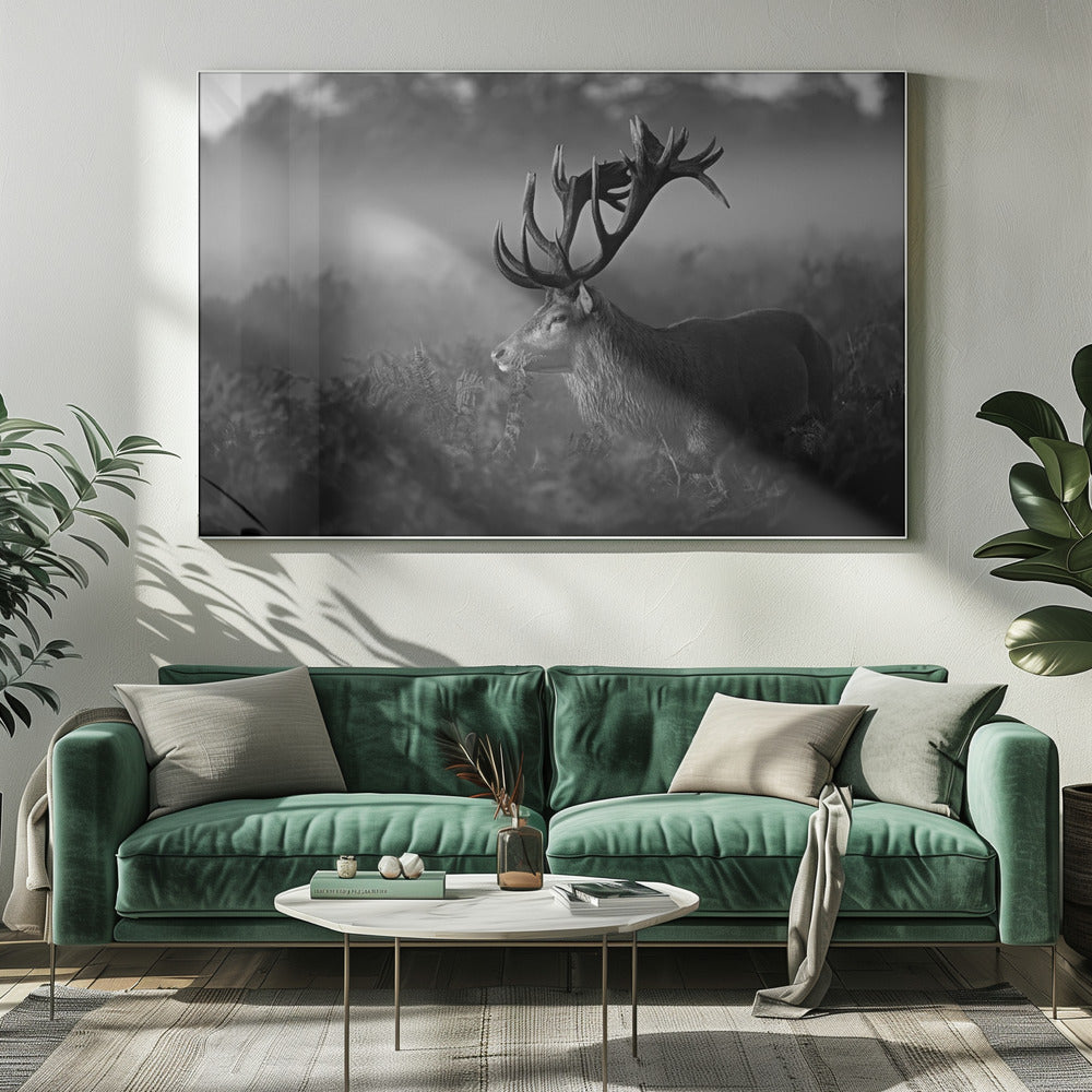 Zonnige ochtend | Canvas