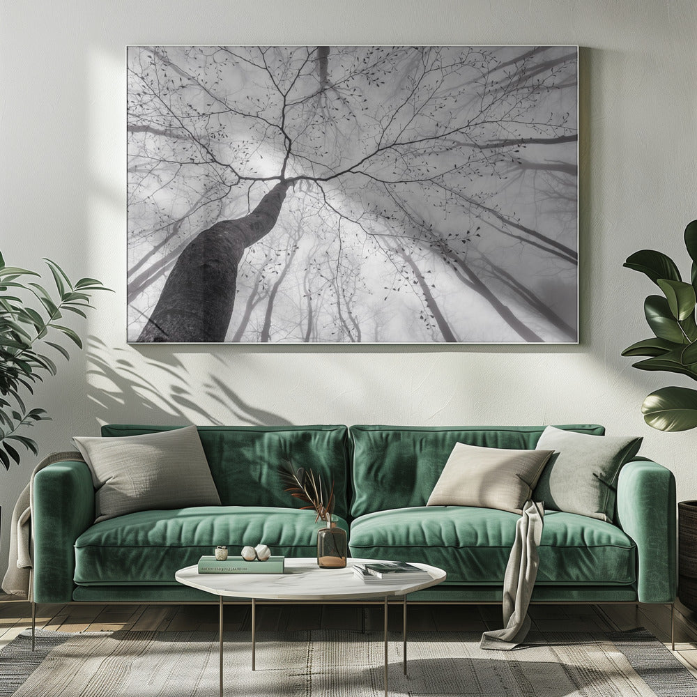 Een blik op de boomkroon | Canvas