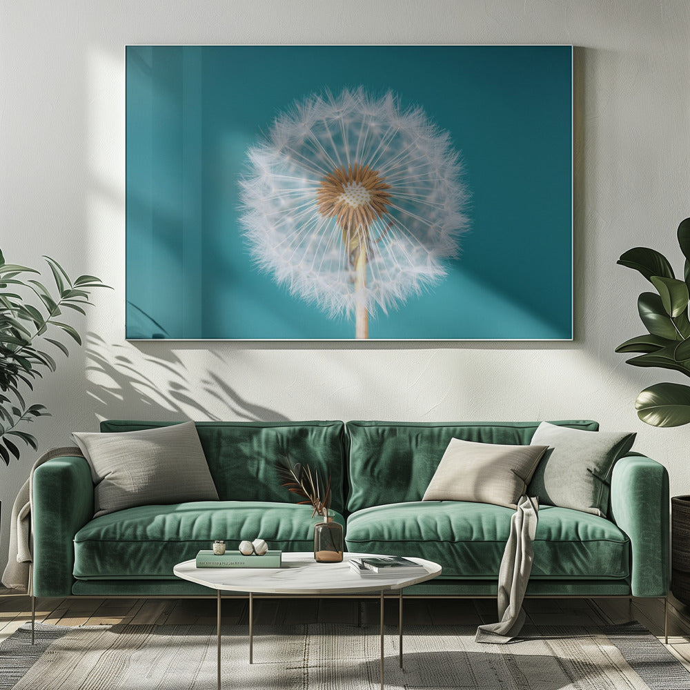 Paardenbloem | Canvas
