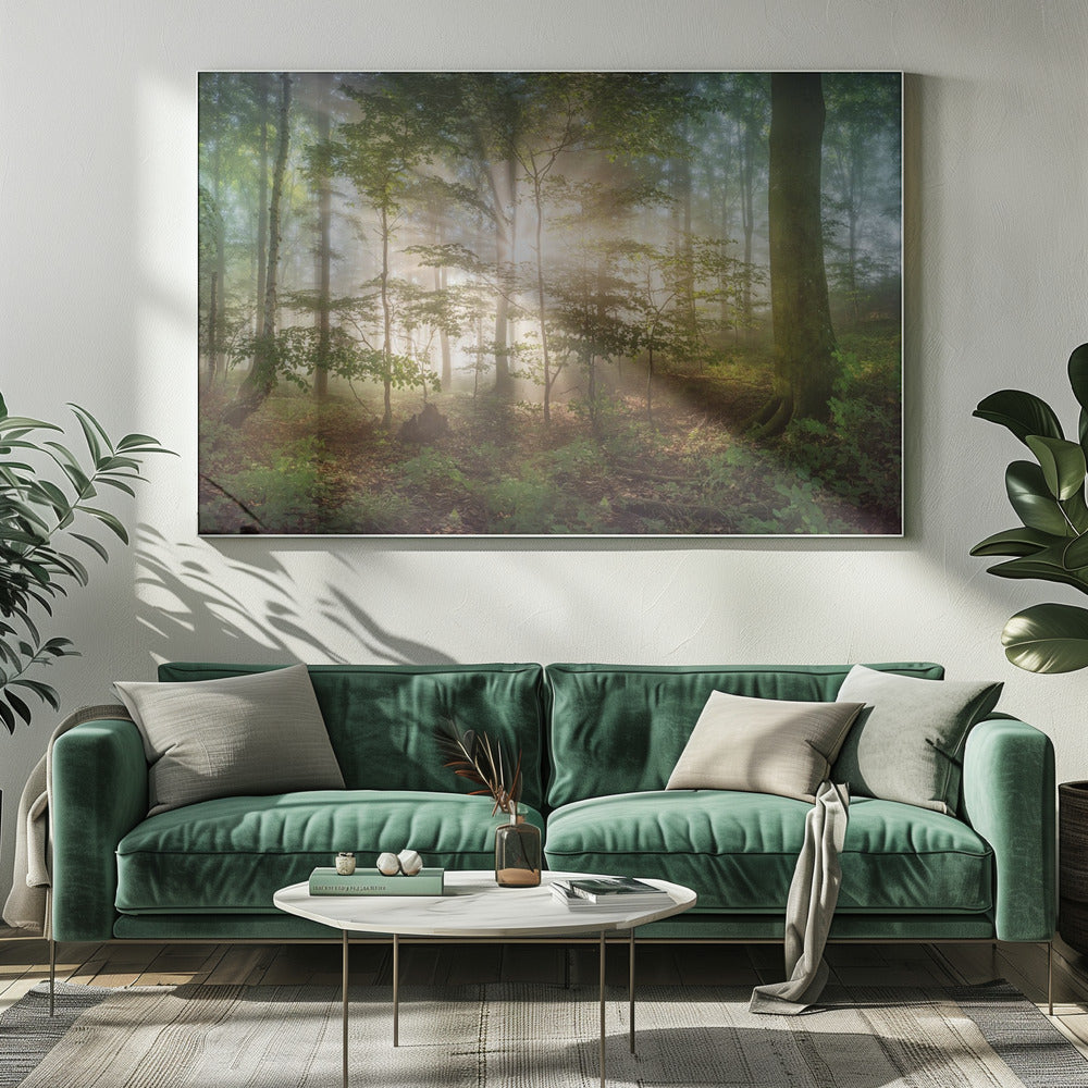 ochtendzon | Canvas