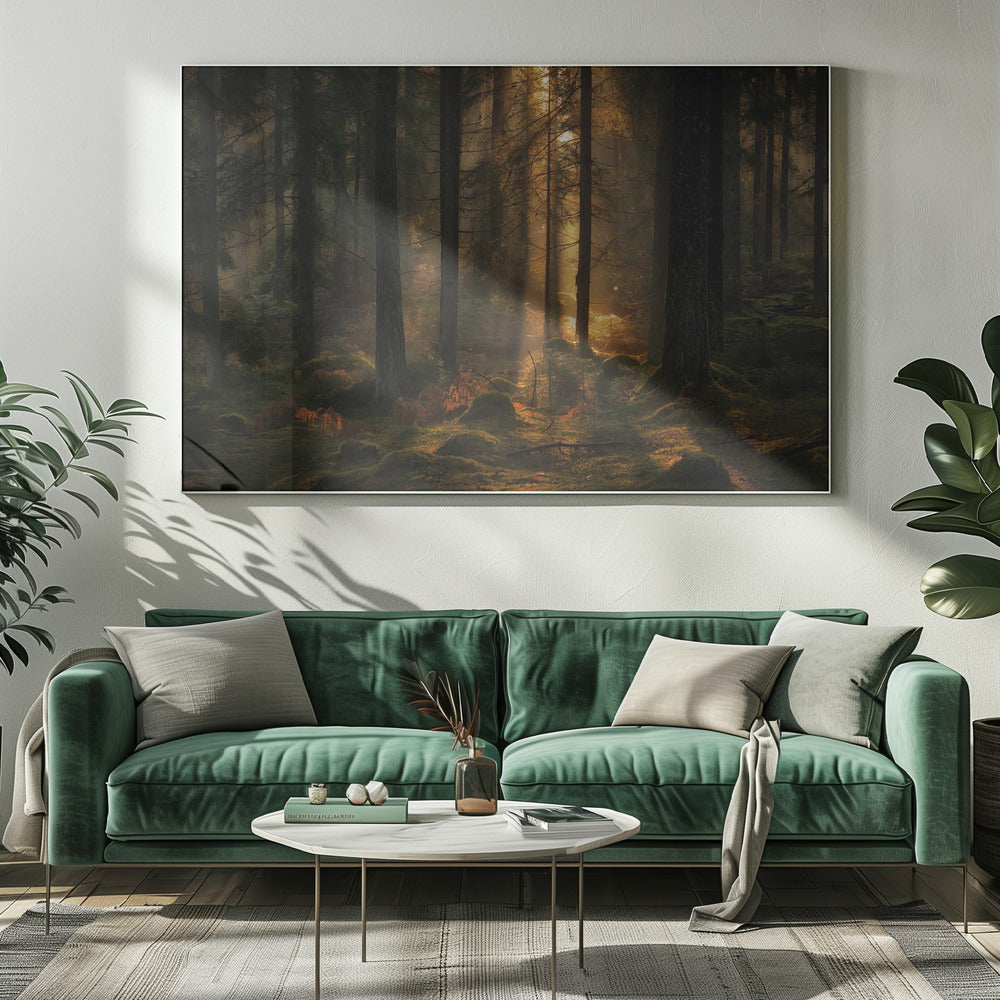 Het licht in het bos | Canvas