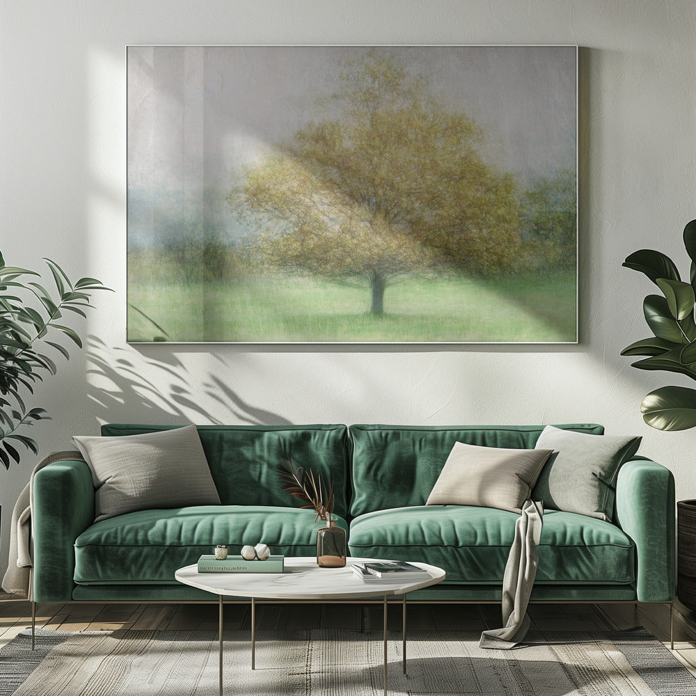 Solitaire | Canvas