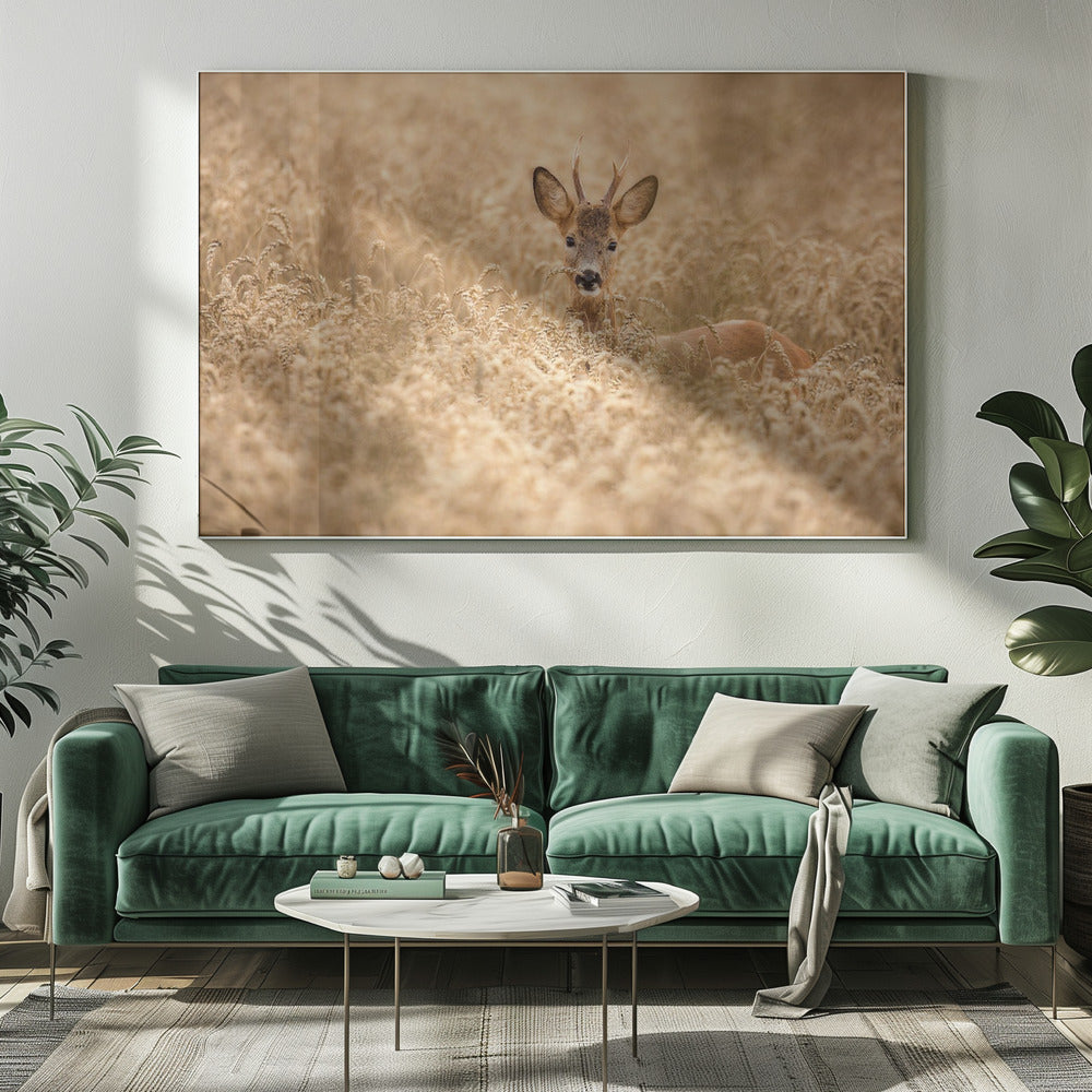 Deer in the field | Canvas