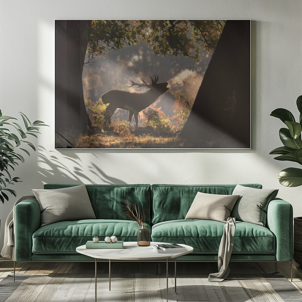 He Waits in the Shadows | Canvas