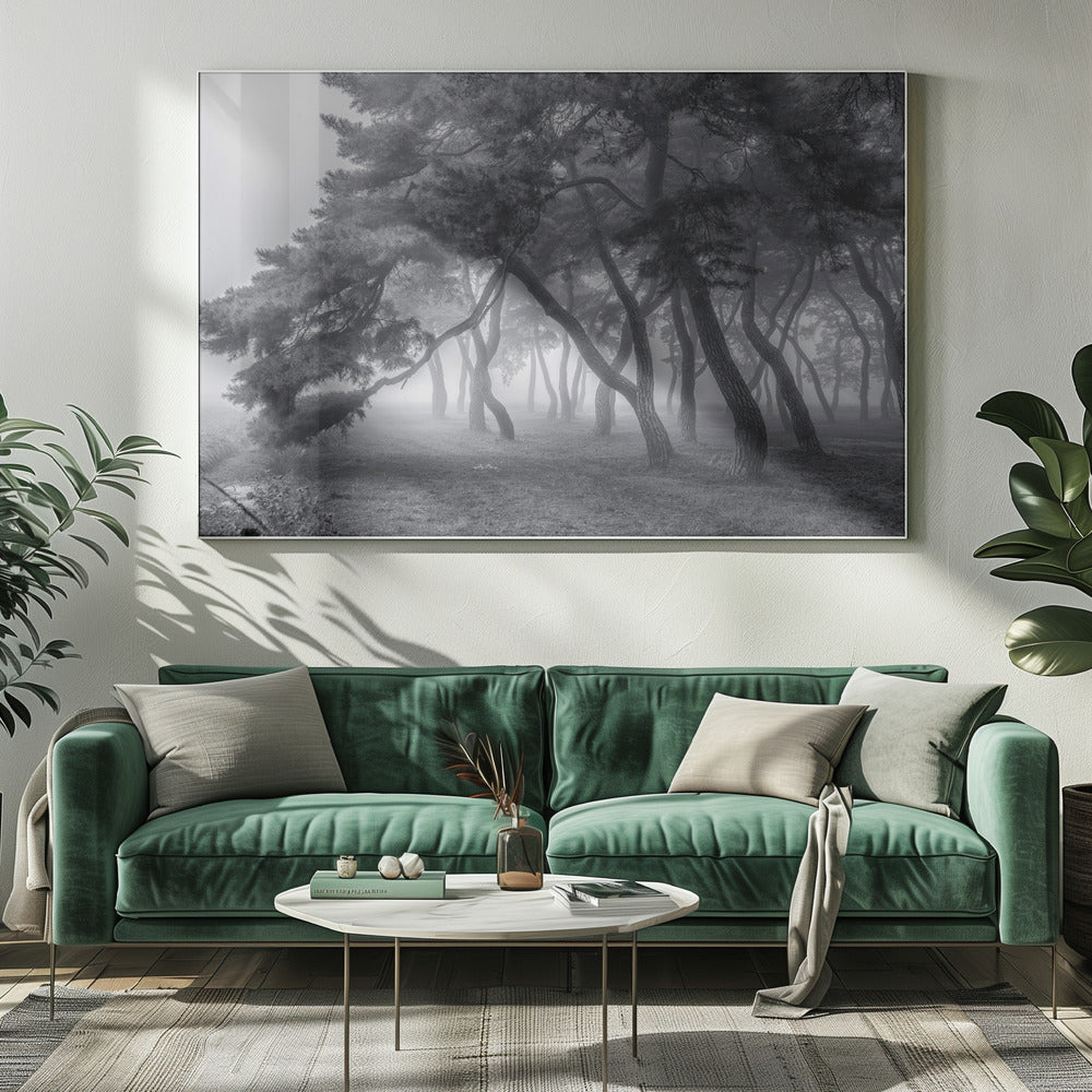 Altijd | Canvas