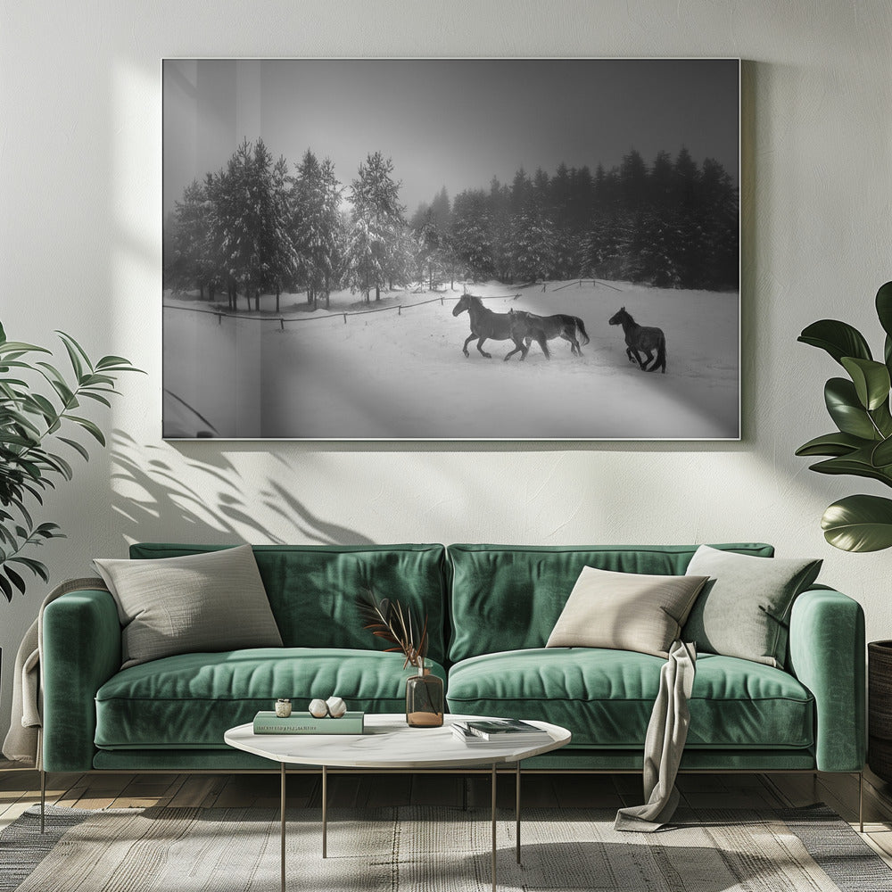 Untitled | Canvas