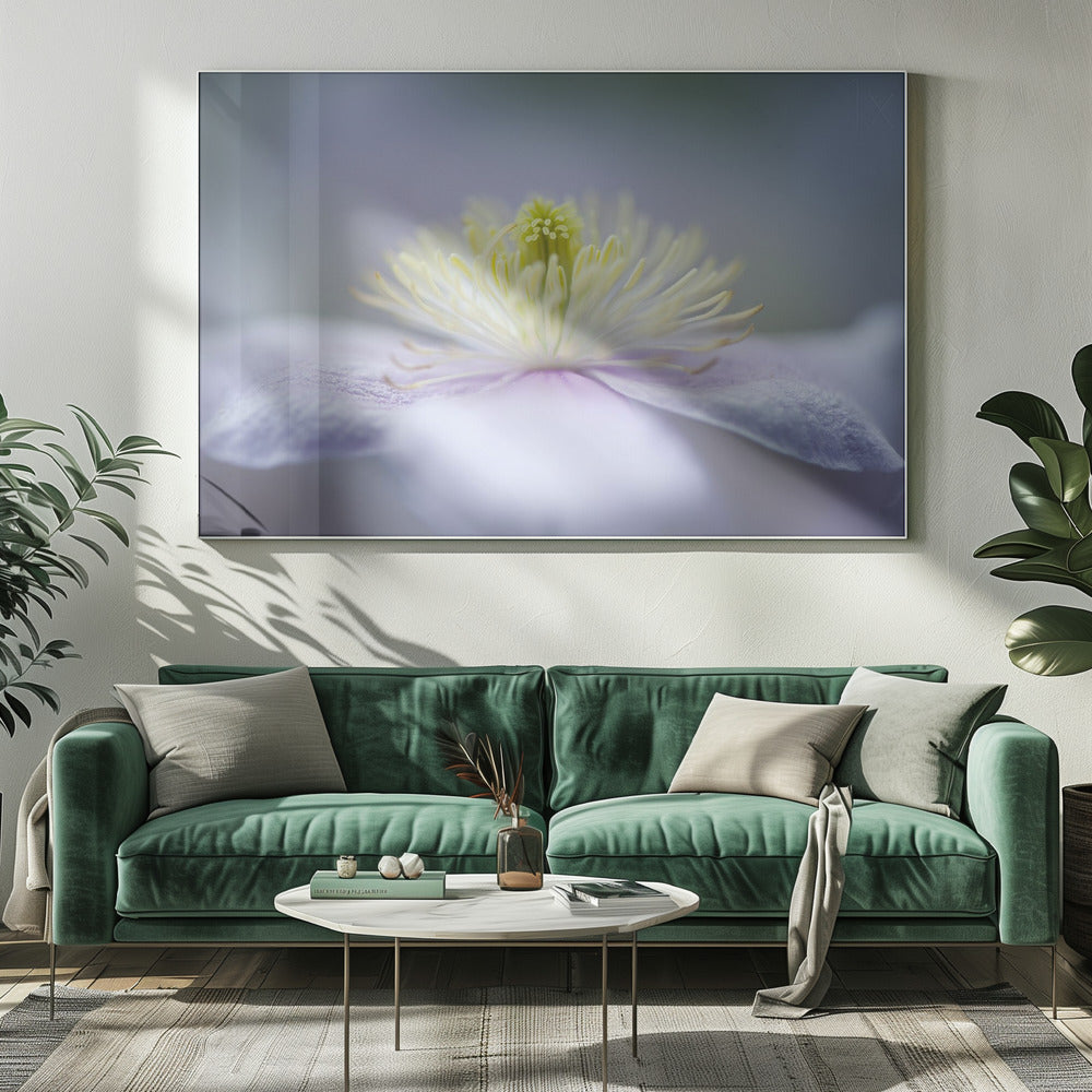 Mayleen | Canvas