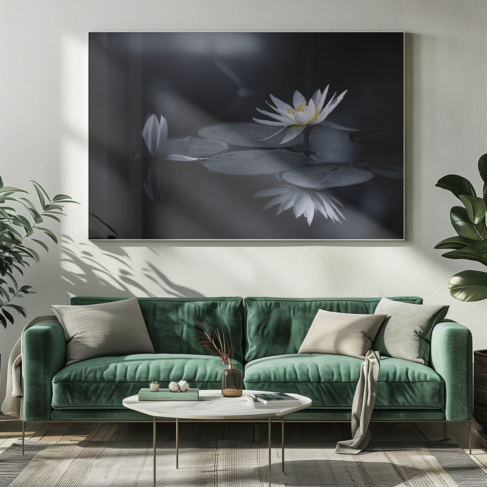 Reflection | Canvas