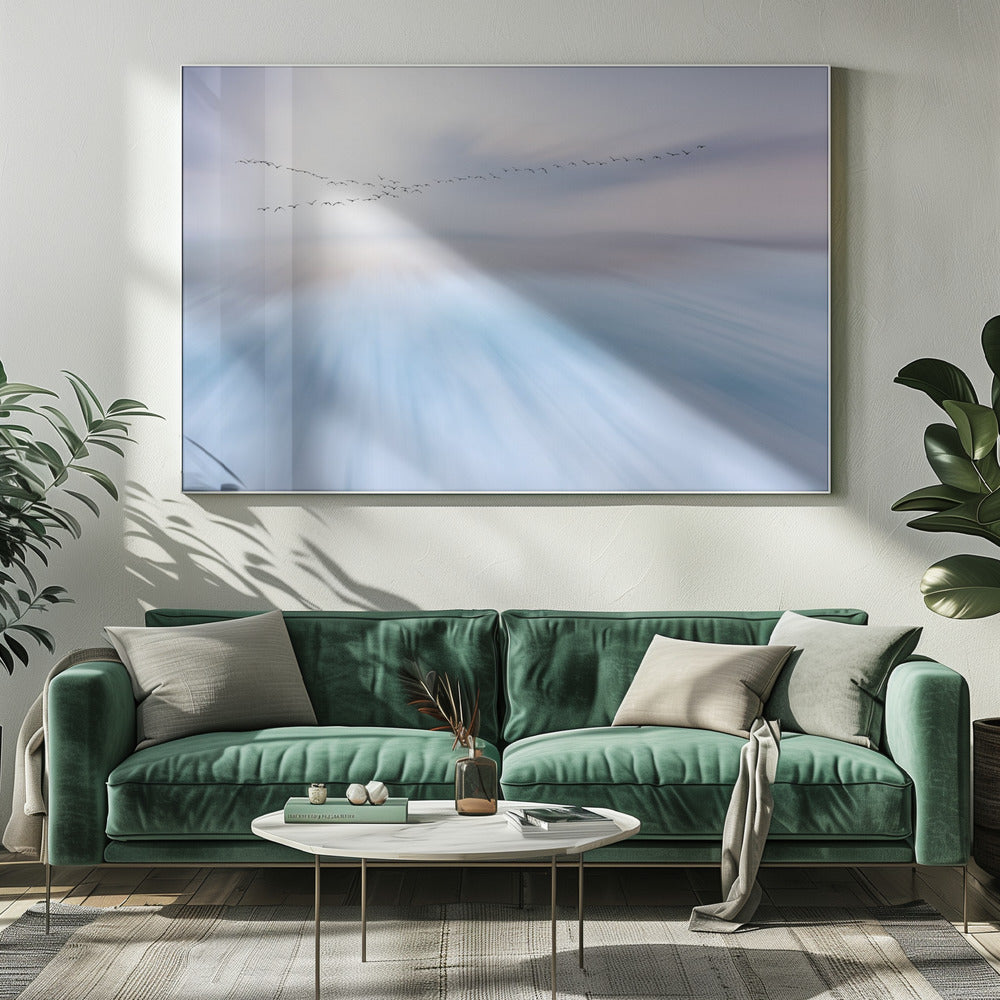 overvliegen | Canvas