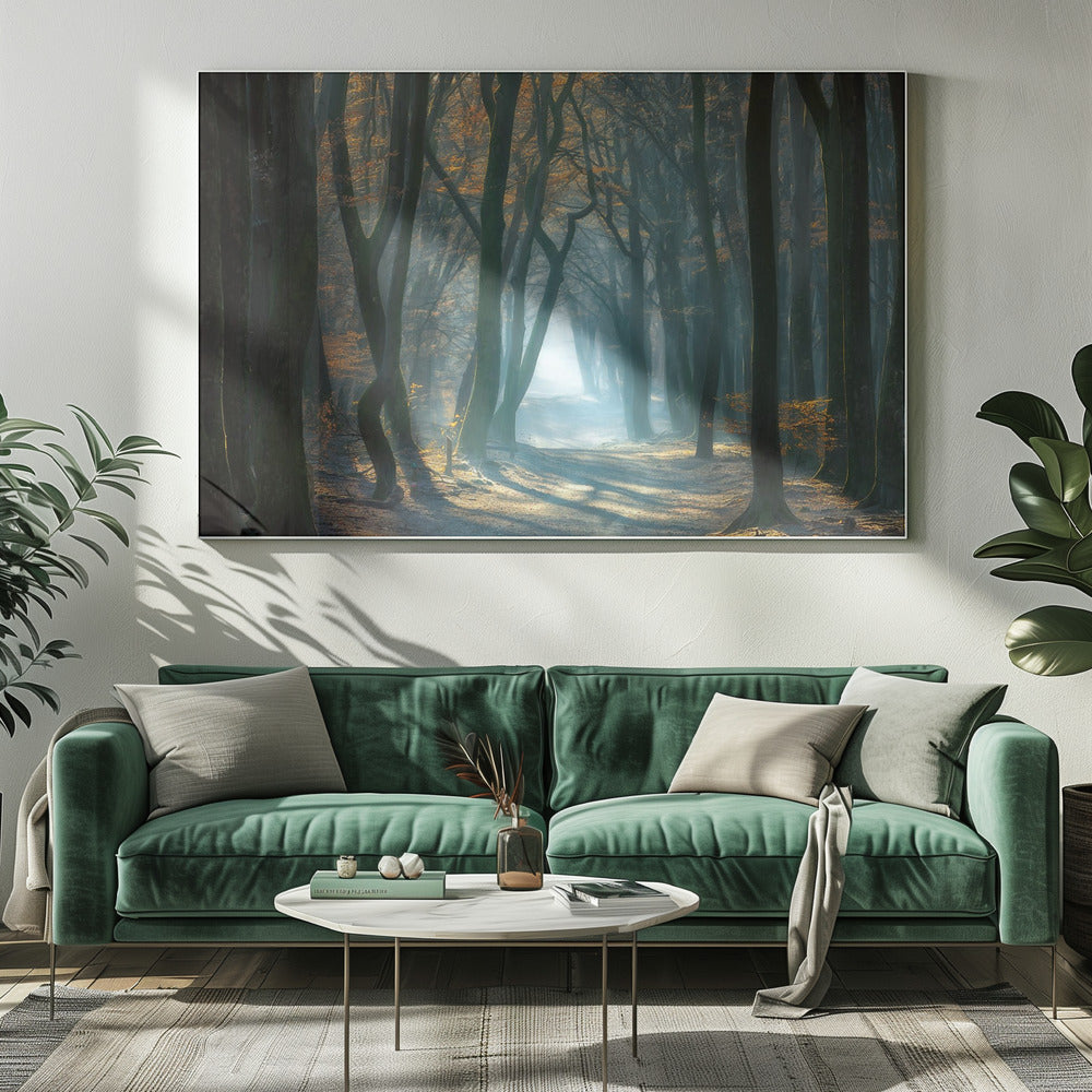 Koud licht | Canvas