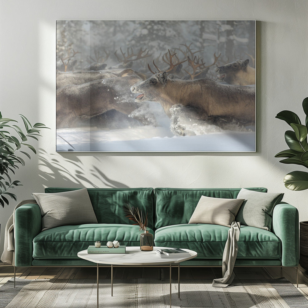 Rendieren III | Canvas