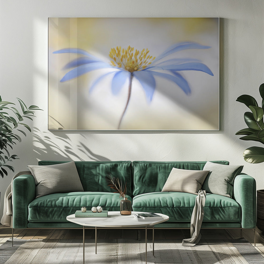 Anemoon | Canvas
