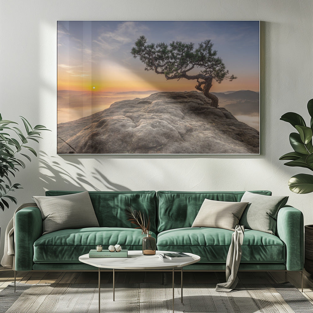 Oud grenen | Canvas