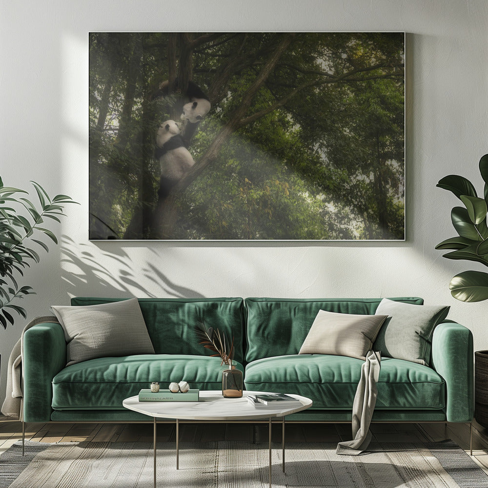 Panda | Canvas