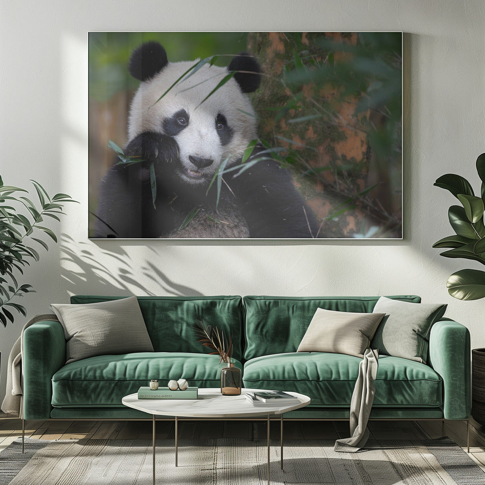 Bamboe Tijd | Canvas