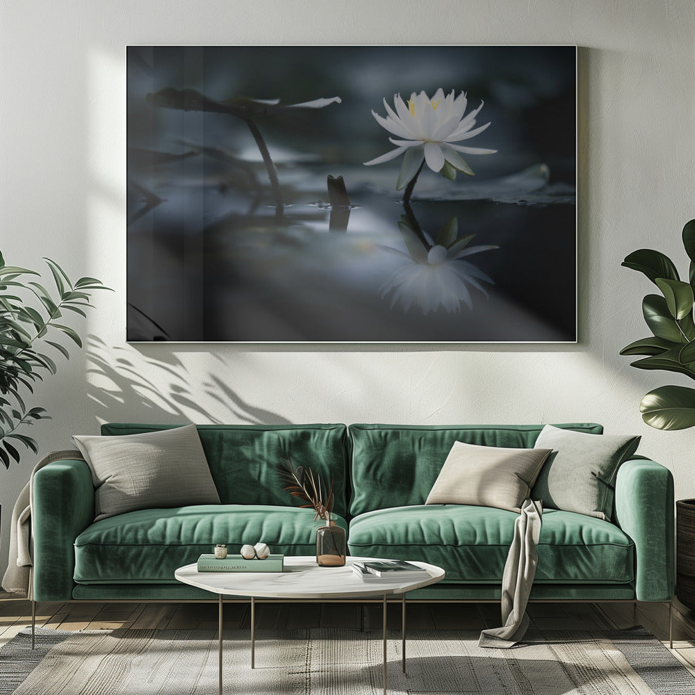 Reflection | Canvas