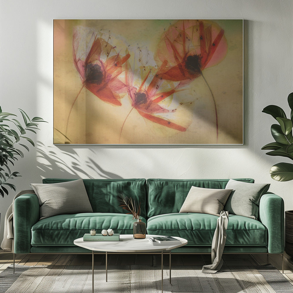 Poppy seeds | Canvas