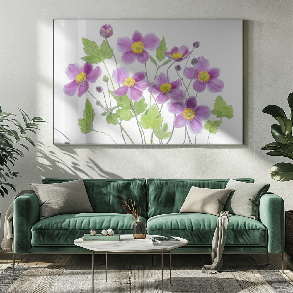 Anemoon 'Hadspen Abundance' | Canvas