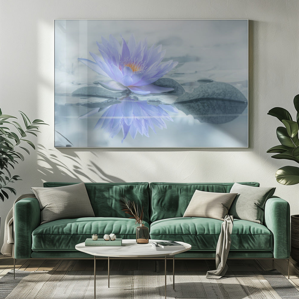 Reflection | Canvas