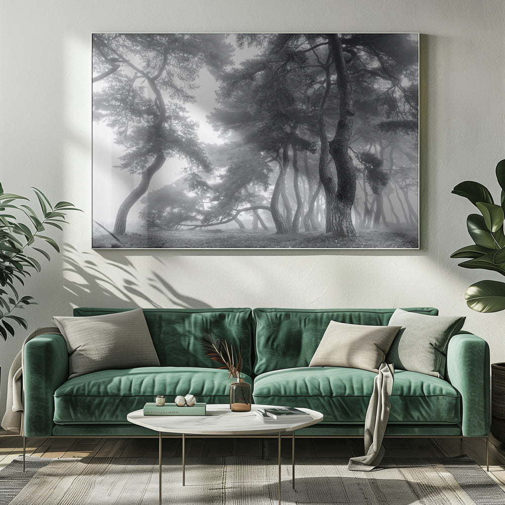 Honderd jaar volhouden | Canvas