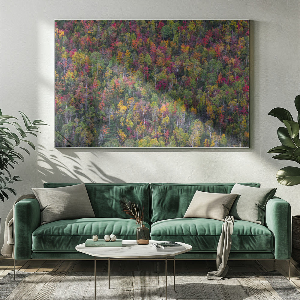 Kleurenpalet | Canvas