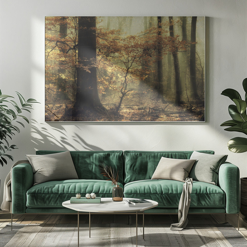 Zachte val | Canvas
