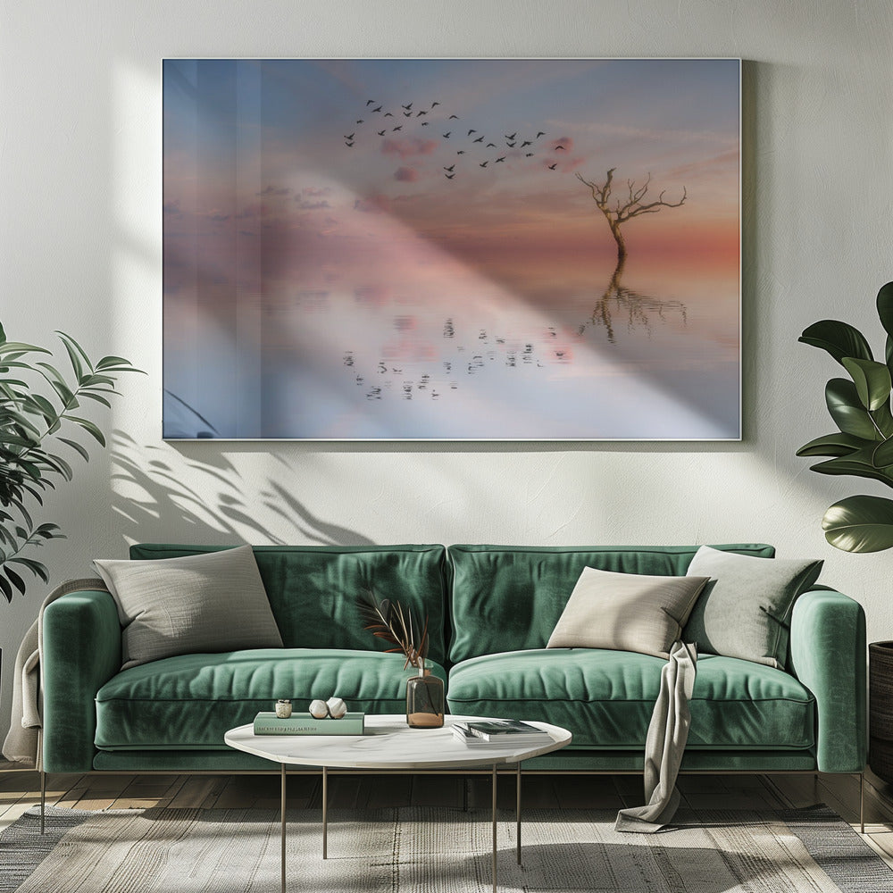 ST 006 | Canvas