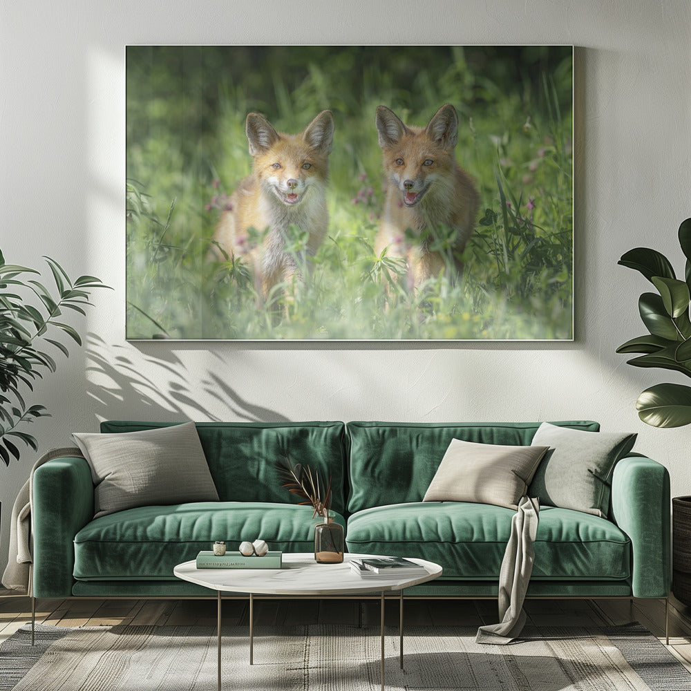 Broers | Canvas