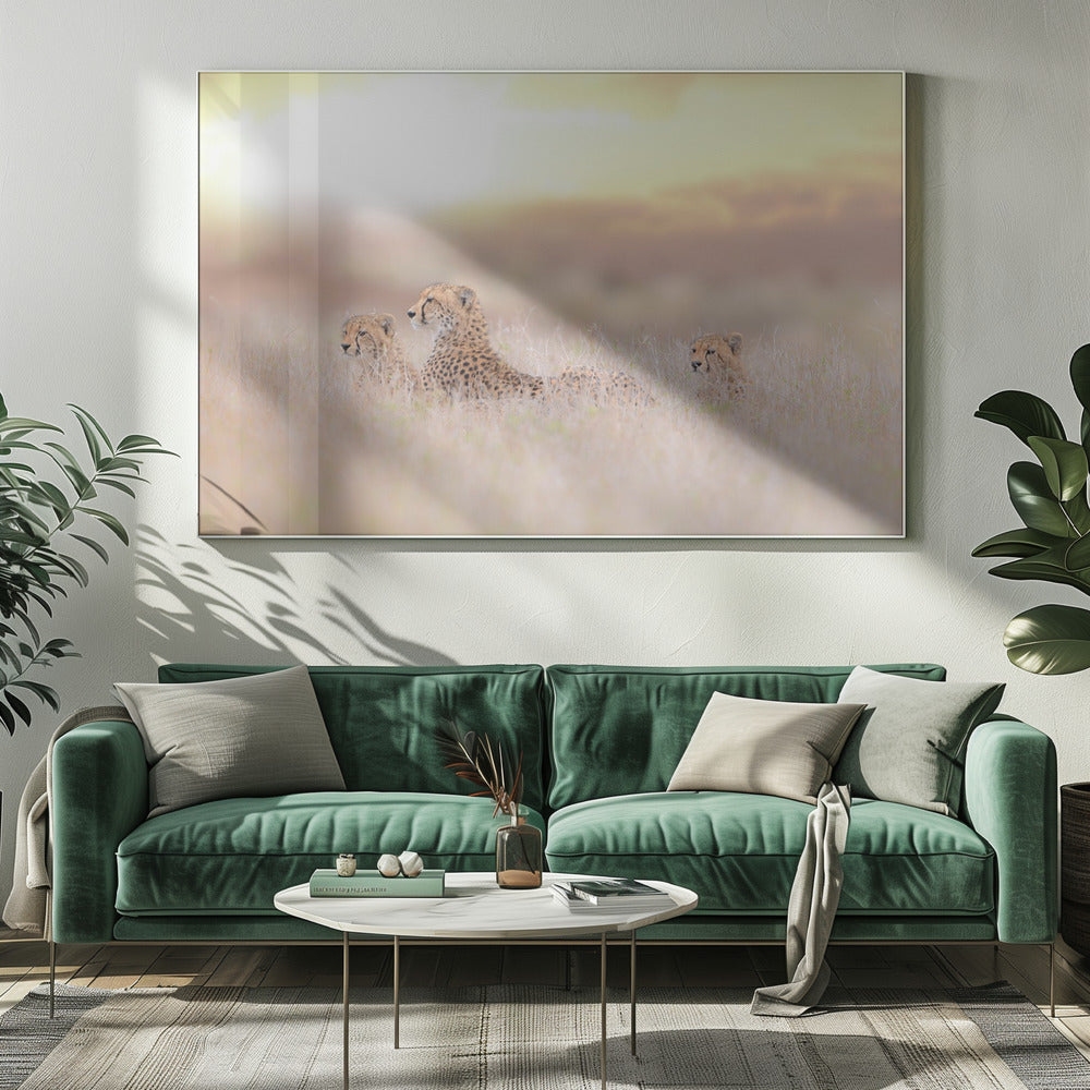 Cheetah Family | Canvas