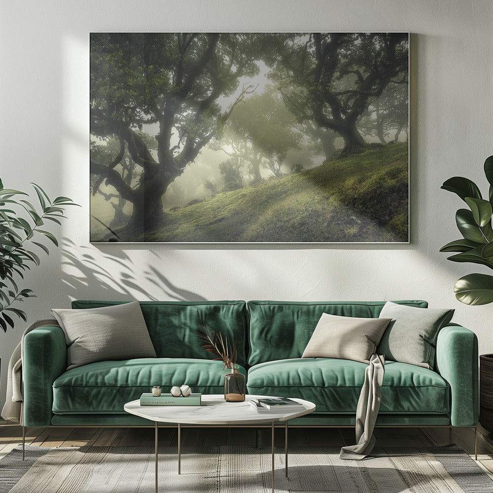 Betoverd Bos | Canvas