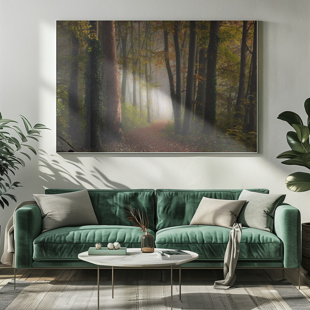 Herfst kleurrijk bos | Canvas