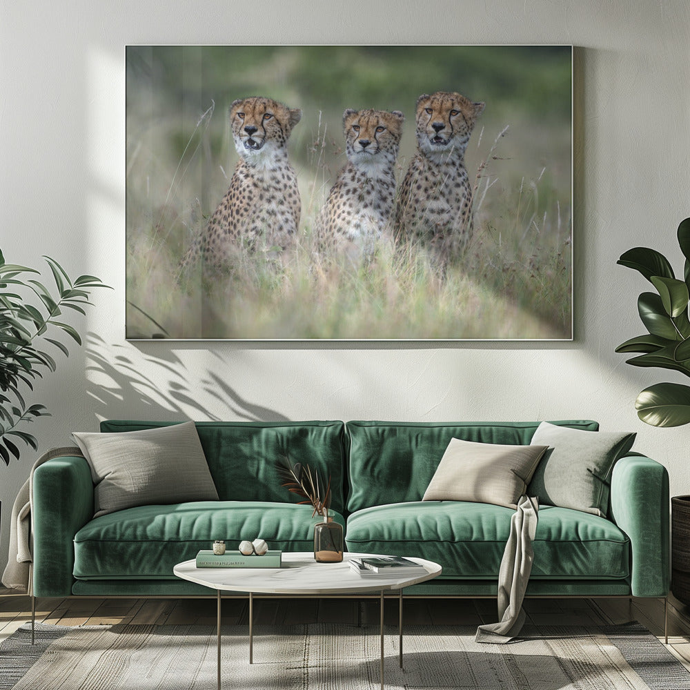 Cheetawelpen | Canvas