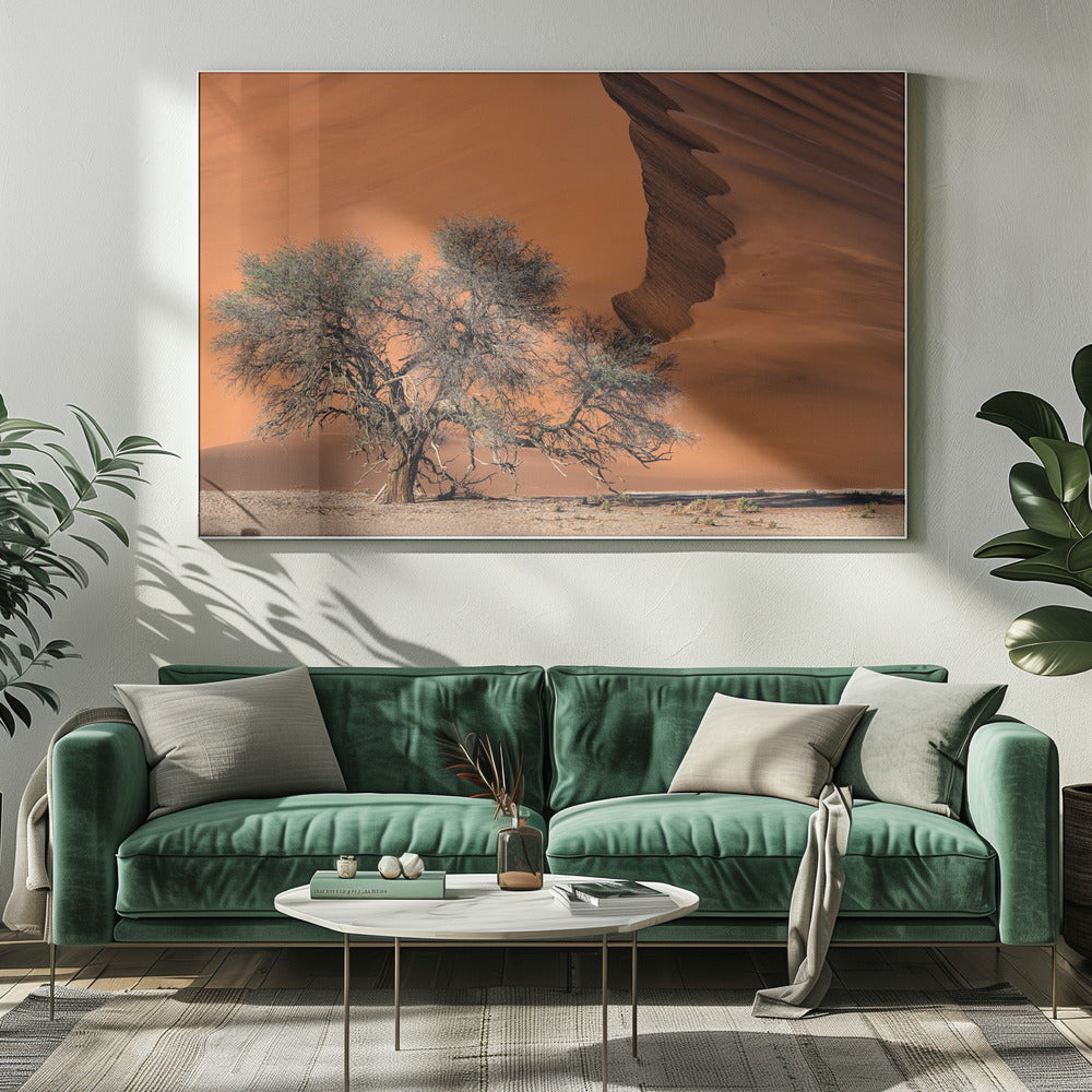 Acacia in de woestijn | Canvas