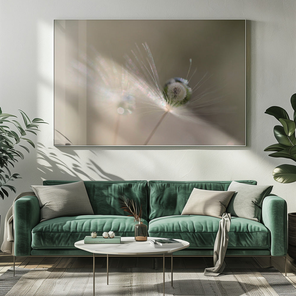 Ster van paardenbloem | Canvas