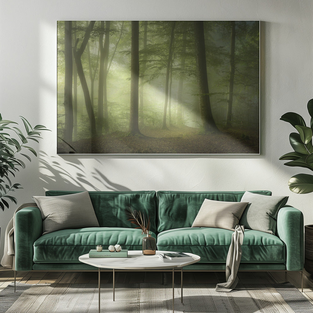 Mysterieuze lentemorgen | Canvas