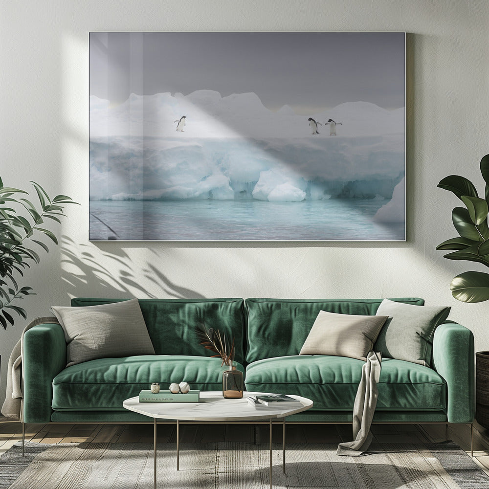 Het Podium | Canvas