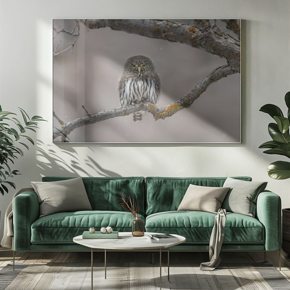 Kleine man in de sneeuw | Canvas