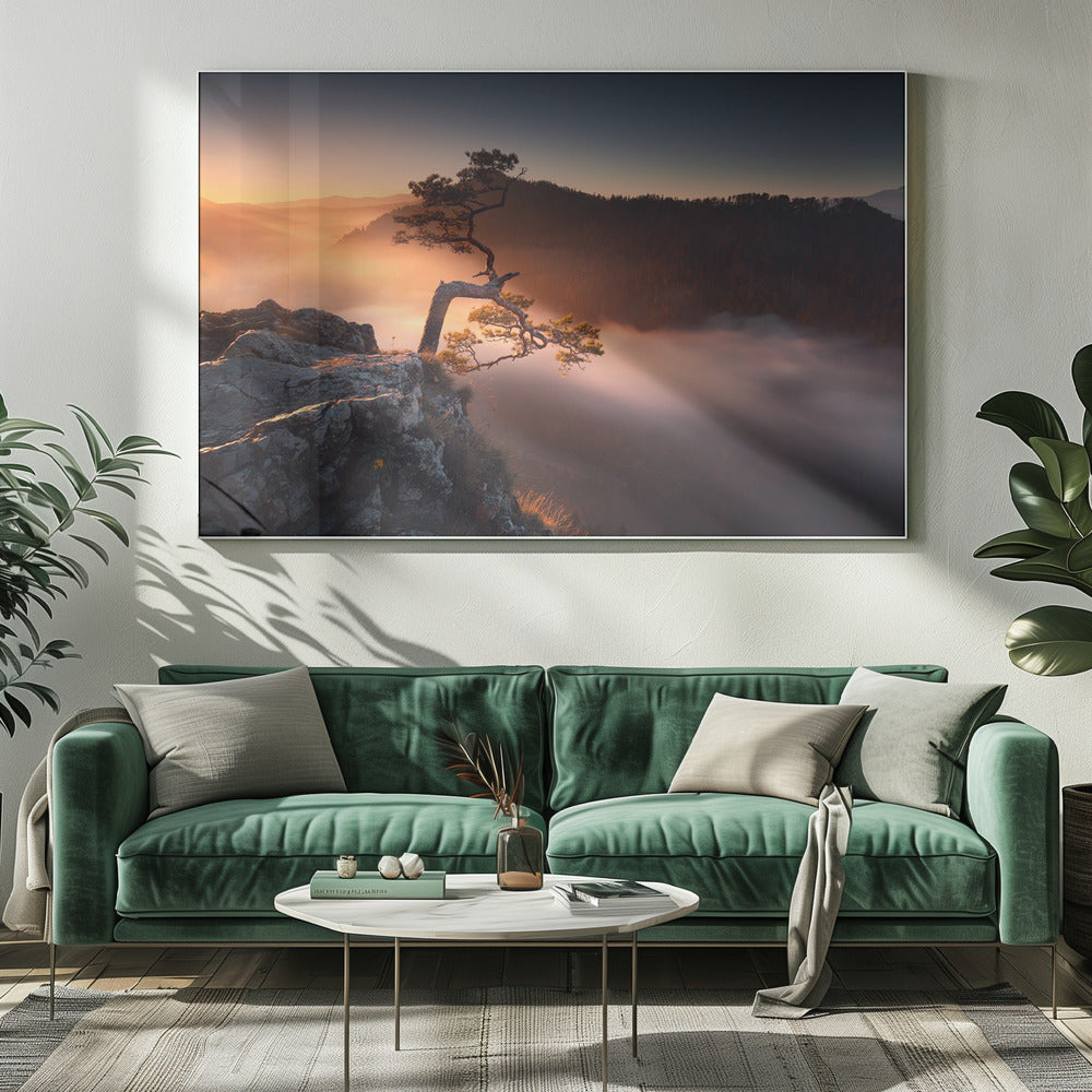 Sokolica | Canvas