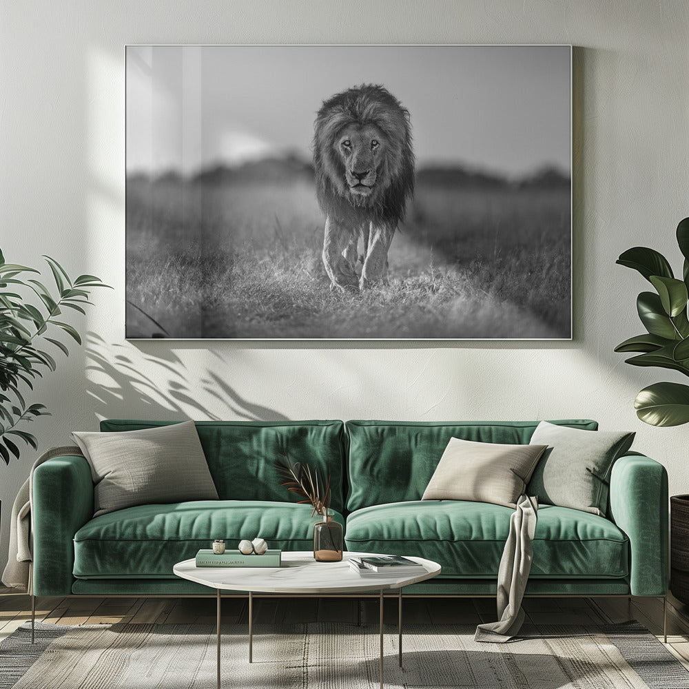 Oude jongen | Canvas