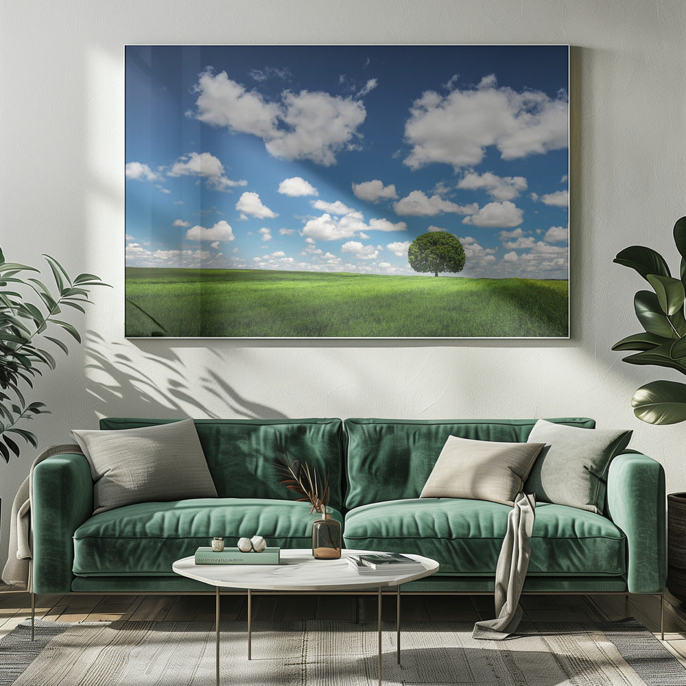 Eenzame boom | Canvas