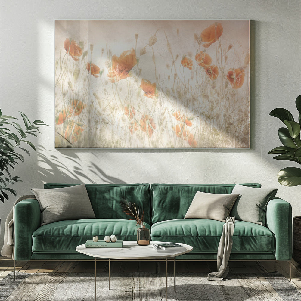 Poppies in the field | Canvas