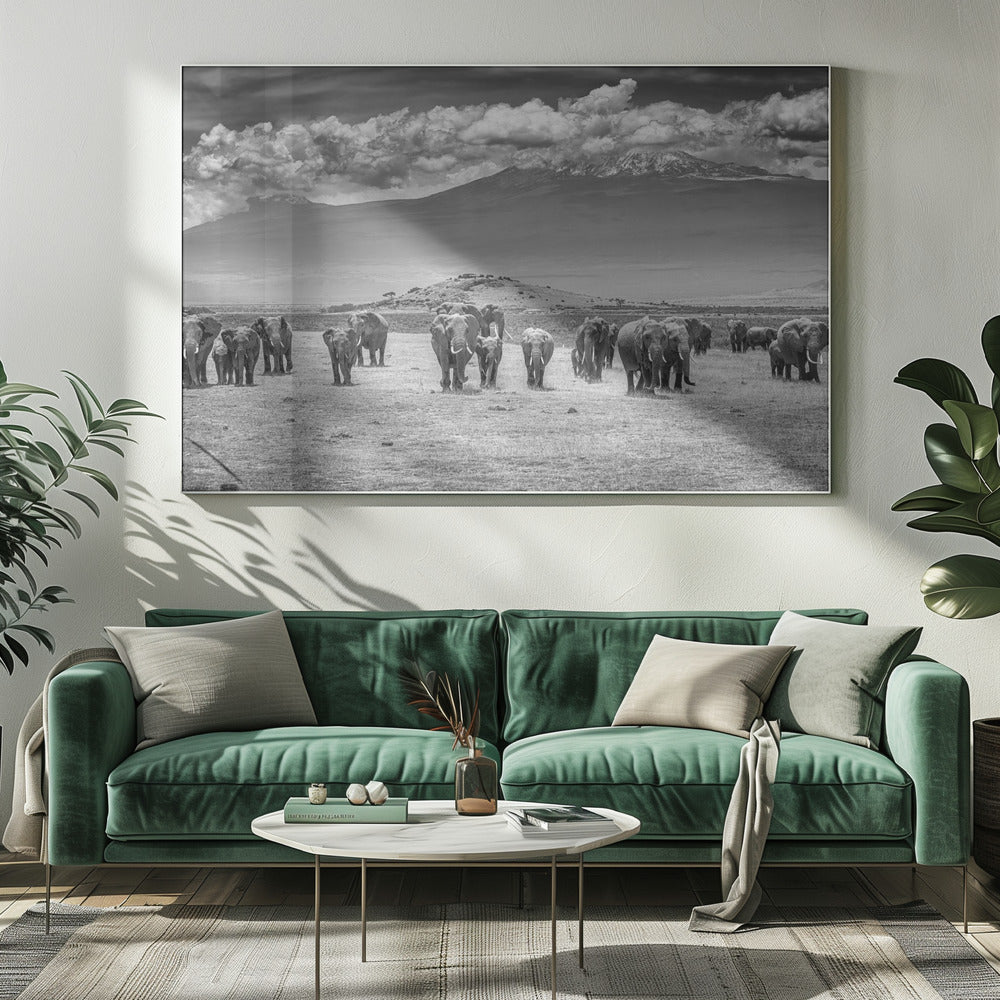 De Titanen | Canvas