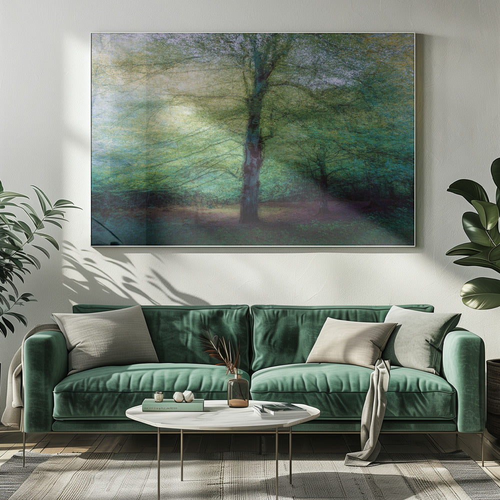 bos | Canvas