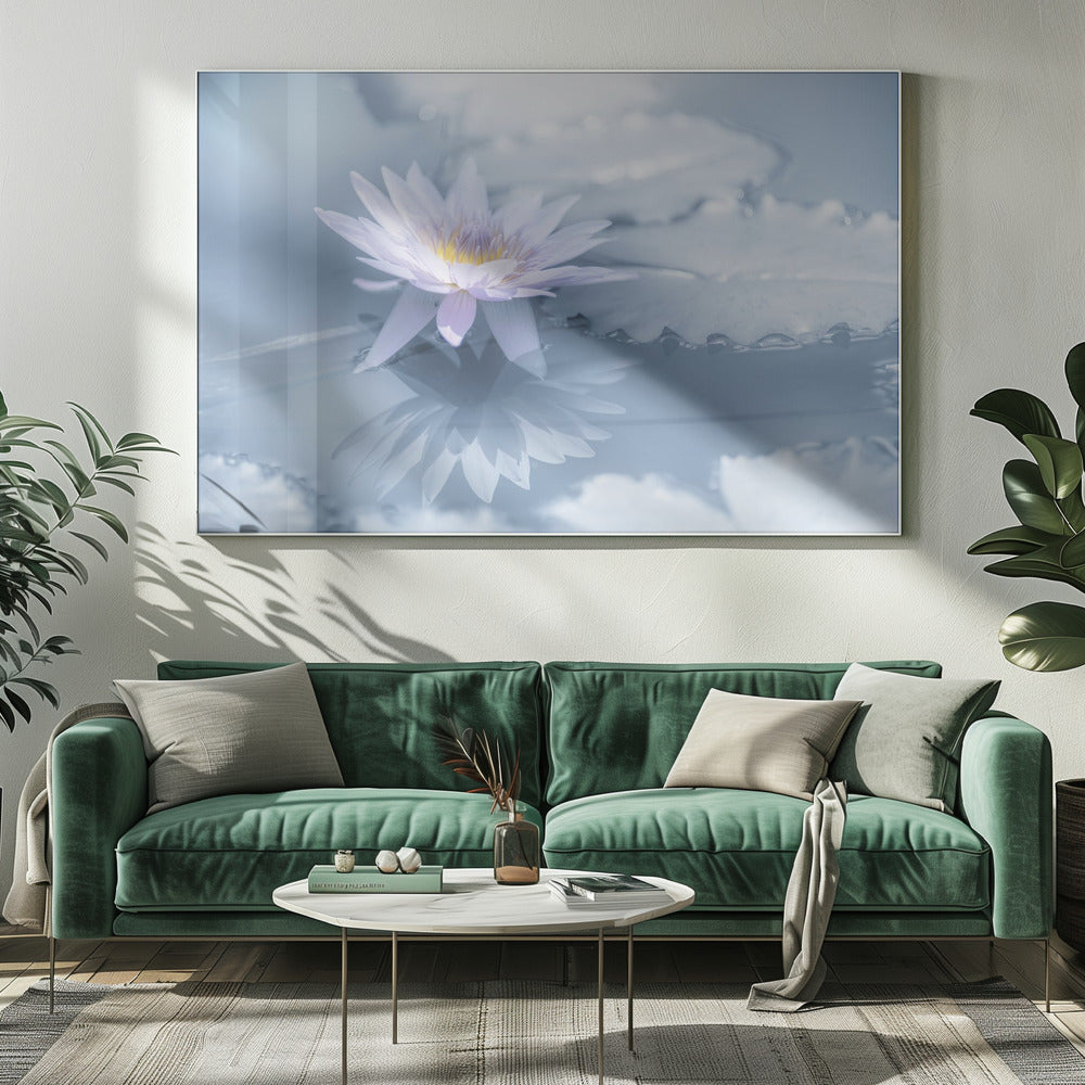 Reflection | Canvas