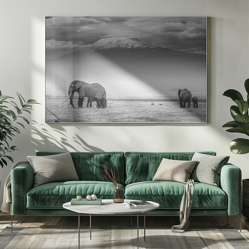 Het land van de reuzen | Canvas