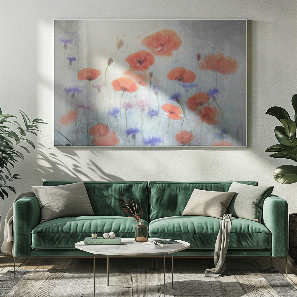 Klaproos | Canvas