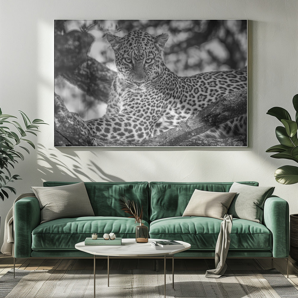 Monochrome schoonheid | Canvas