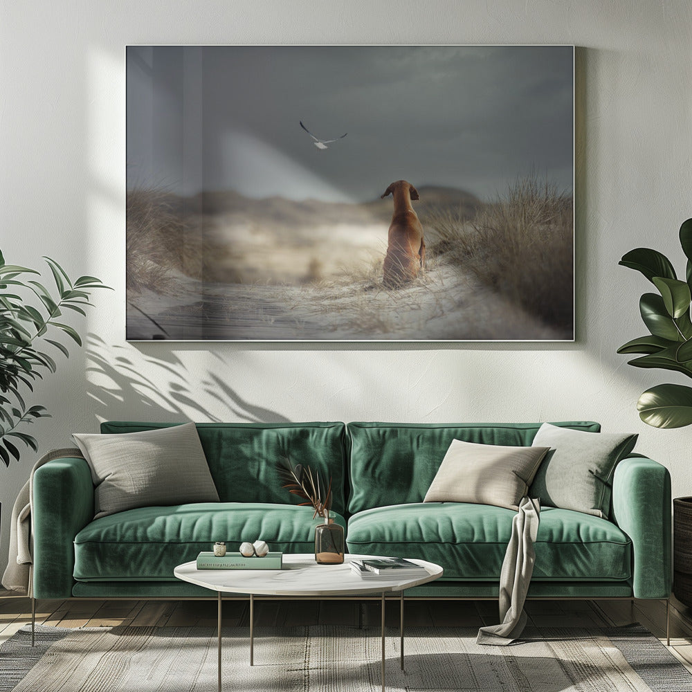 FREEDOM (II) | Canvas