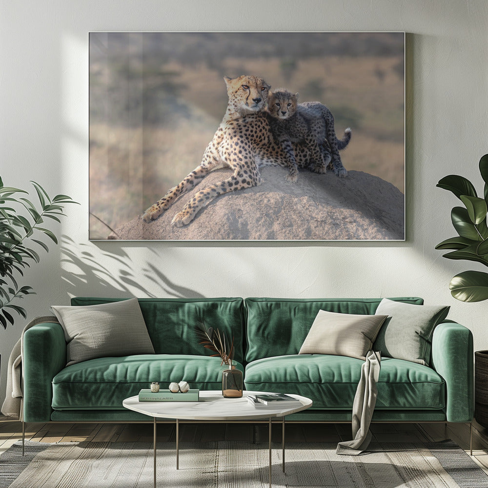 Cheetah and cup! | Canvas