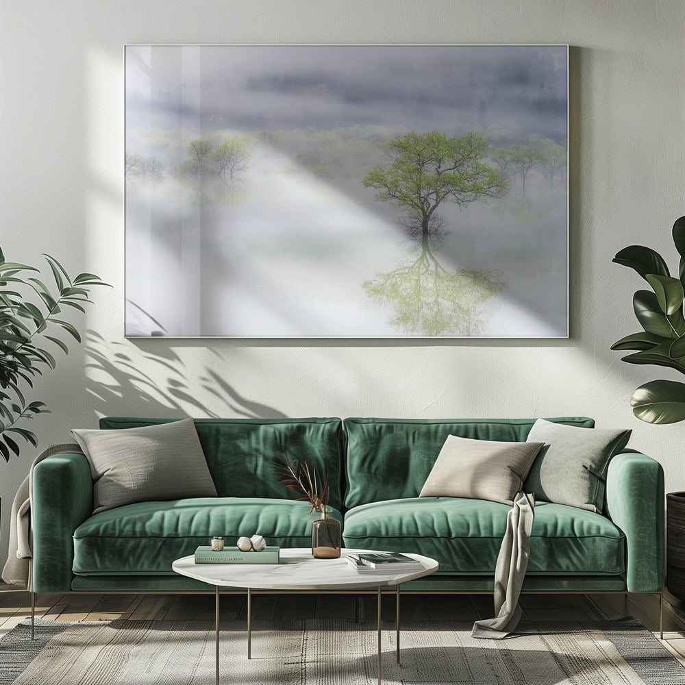 Dromerige boom | Canvas